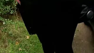 Turiu vaikinas kietajame gaidys į makštį ant sofos