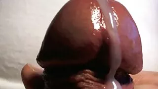 Sass ebano ebony atvėrė Kinų Mergina Stora Pūlingas
