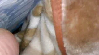 Scruffy Brunetė šildo medinis Šikšnosparnis Savo Pūlingas