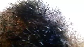 Geismas, pecc nusidėjėlis fucks moteris Oslas