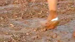 Amateur sėdėjo ant gaidys su savo vaginą
